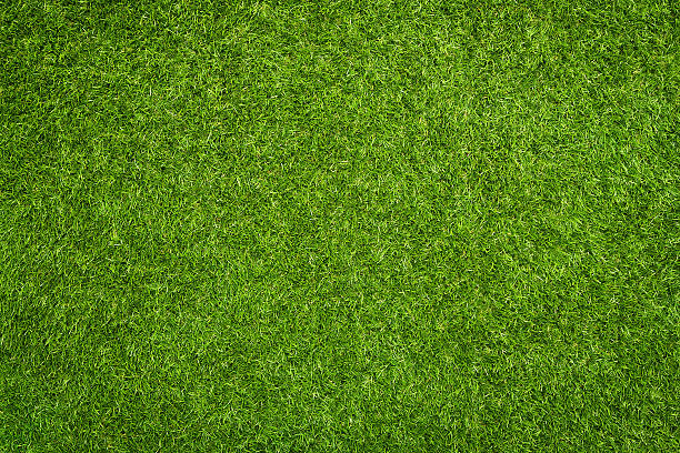 Artificial Grass